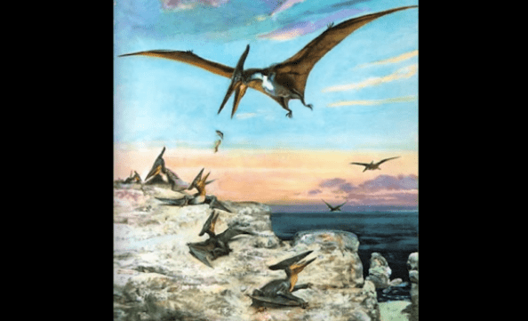 Quetzalcoatlus 5e