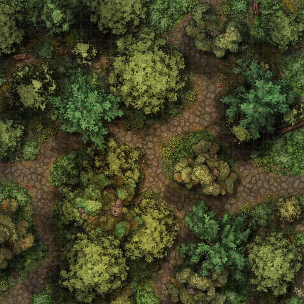 5e Forest map by day with tiles 