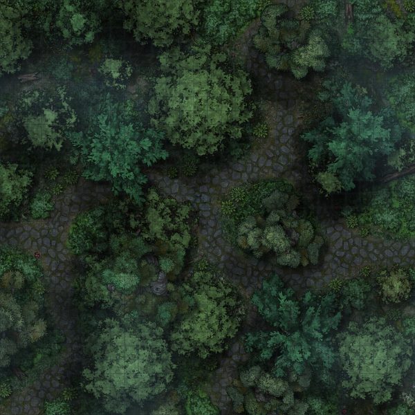 5e Forest map by night with tiles 