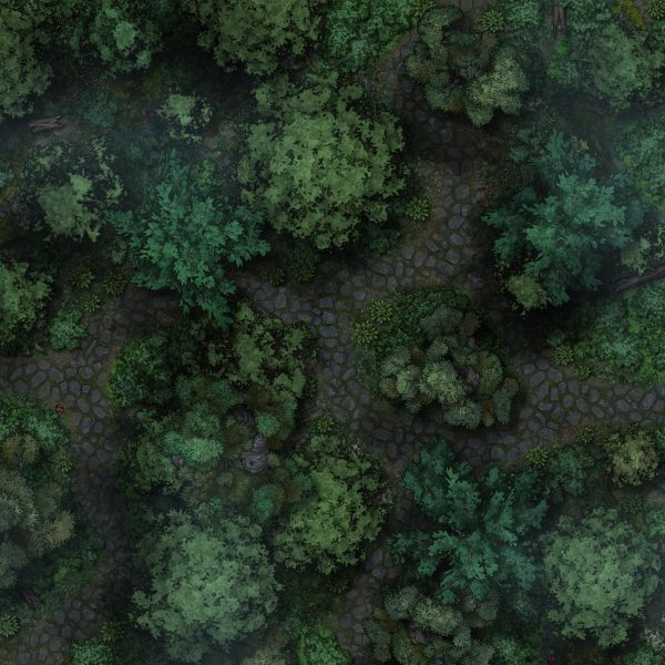 5e Forest map by night 